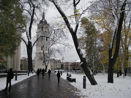 Зимний каунас